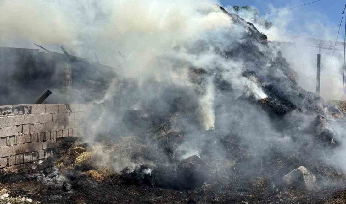 Erzincan'ın Bulutlu Mahallesi'nde bir samanlıkta başlayan yangın, bitişiğindeki ahıra sıçradı.