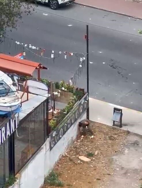 İstanbul Esenyurt'ta yabancı uyruklu bir kadın, nedeni bilinmeyen bir sebepten