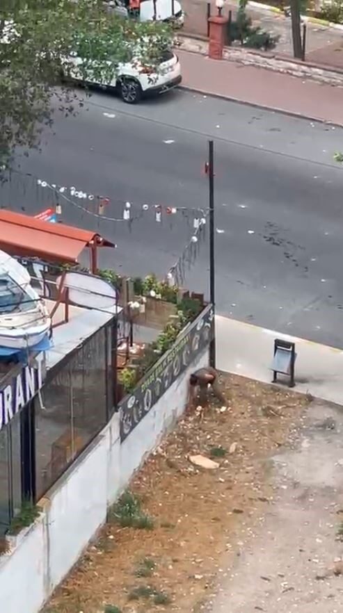 İstanbul Esenyurt'ta yabancı uyruklu bir kadın, nedeni bilinmeyen bir sebepten