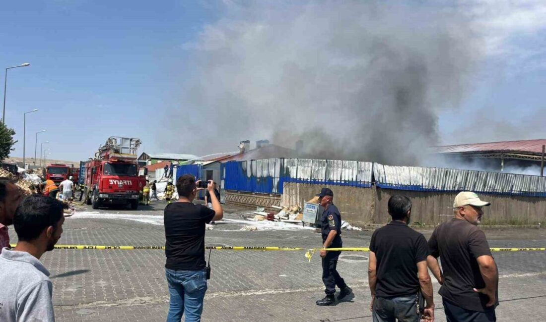 Eskişehir'deki bir geri dönüşüm deposunda çıkan yangın, üç yan deposuna