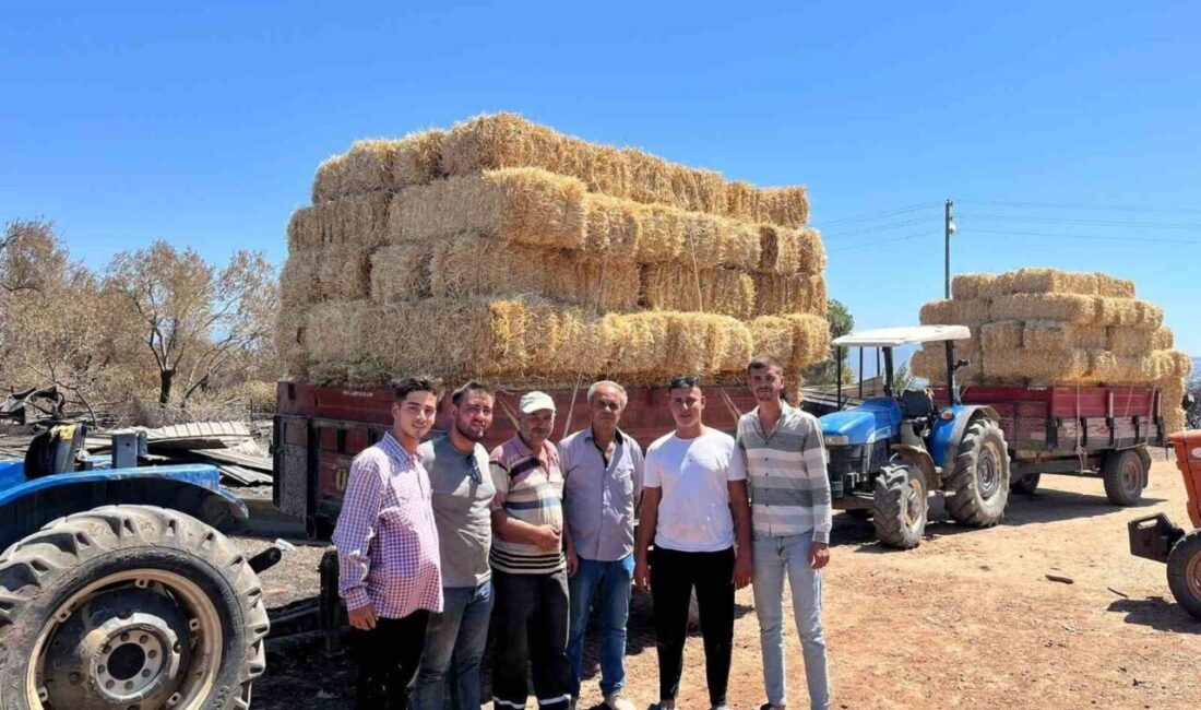 Çanakkale'nin Bayramiç ilçesinde çıkan orman yangını, köylerde önemli maddi hasara