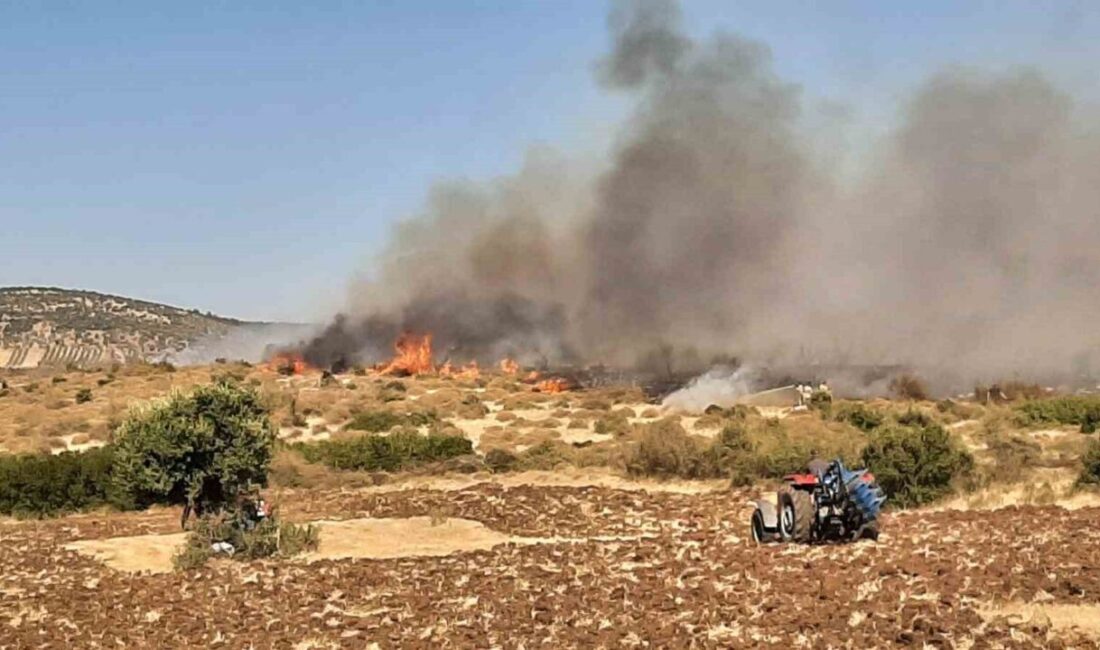 Çanakkale'nin Ezine ilçesinde, Pınarbaşı köyünde çıkan orman yangını, Orman Bölge