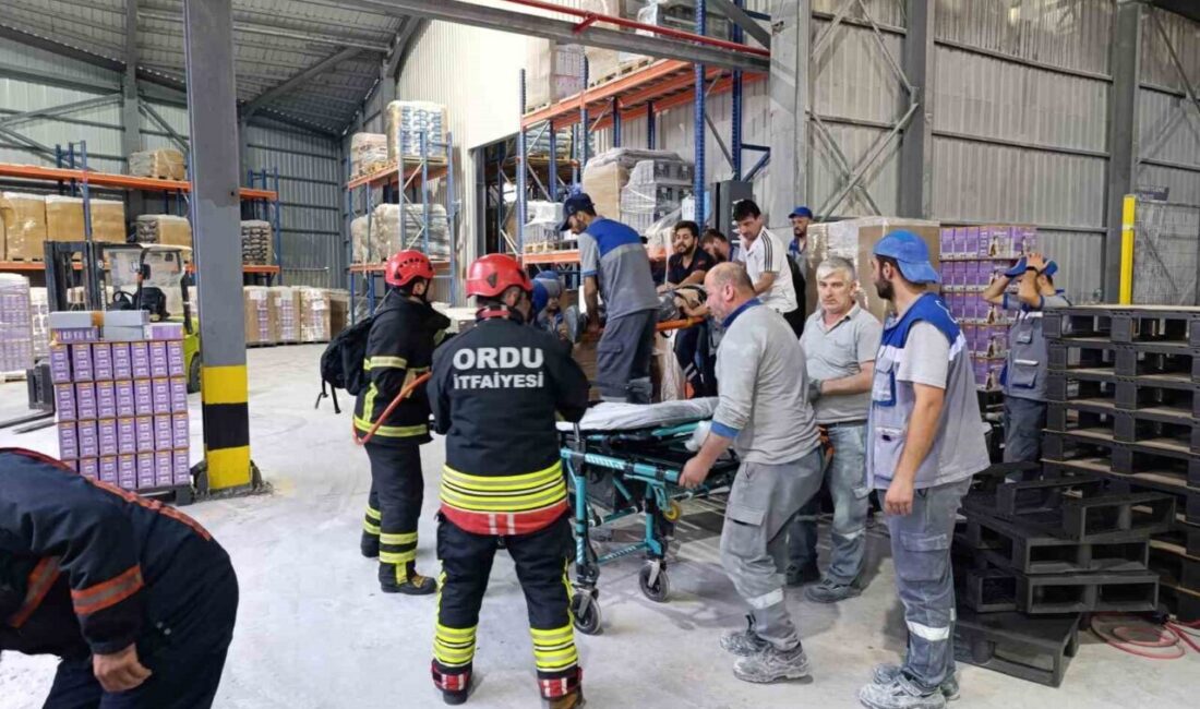 Ordu’nun Fatsa ilçesindeki bir kedi kumu fabrikasında, 24 yaşındaki işçi