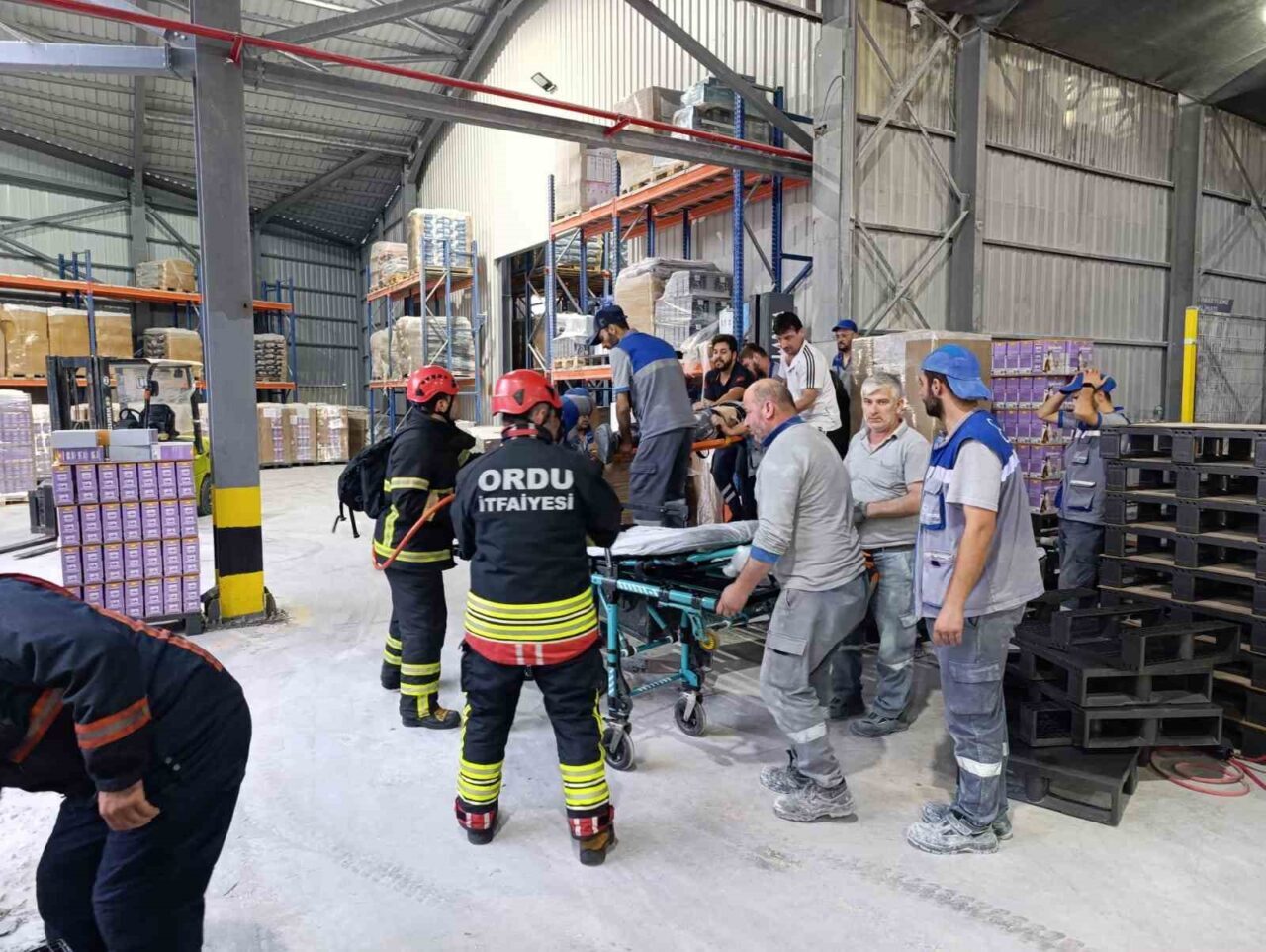 Ordu’nun Fatsa ilçesindeki bir kedi kumu fabrikasında, 24 yaşındaki işçi