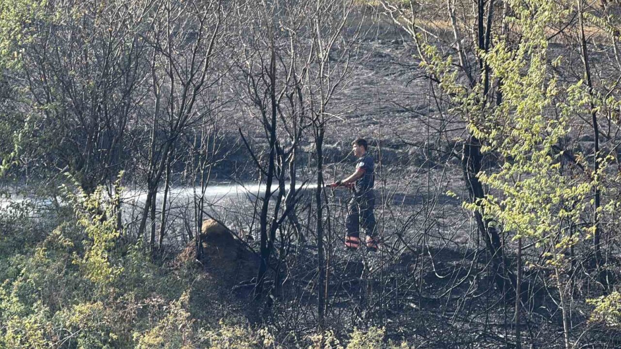 Sakarya'nın Adapazarı ilçesinde Camili Mahallesi'nde yerleşim alanlarının yanında başlayan yangın,