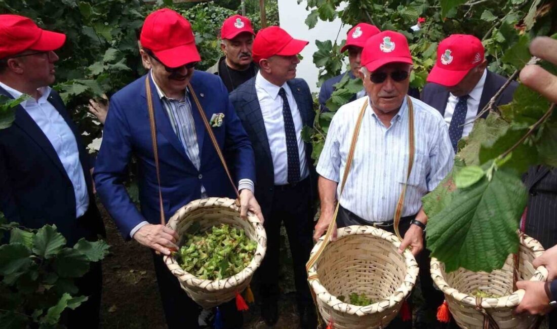 Trabzon'da düzenlenen Dünya Fındık Haftası etkinliği, TOBB Başkanı Rifat Hisarcıklıoğlu