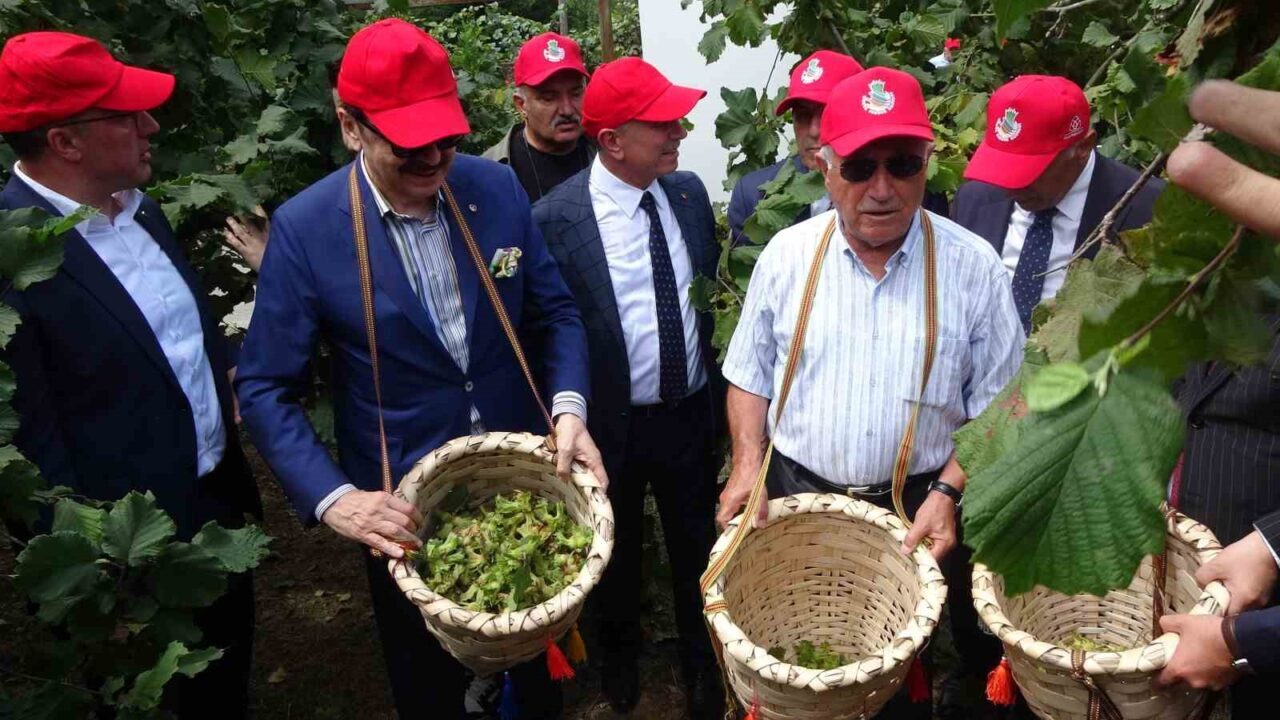 Trabzon'da düzenlenen Dünya Fındık Haftası etkinliği, TOBB Başkanı Rifat Hisarcıklıoğlu