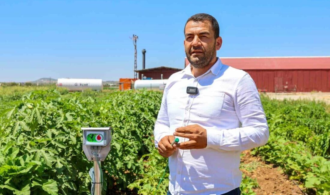 Gaziantep Büyükşehir Belediyesi, "Ata Tohumları Kadın Çiftçilerin Elinde Yeniden Yeşeriyor