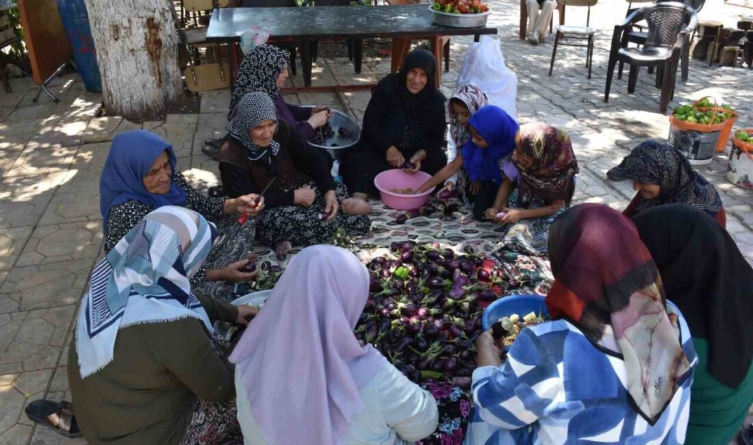 Gaziantep'in Şahinbey ilçesinde, kış hazırlıkları için imece usulü bir araya
