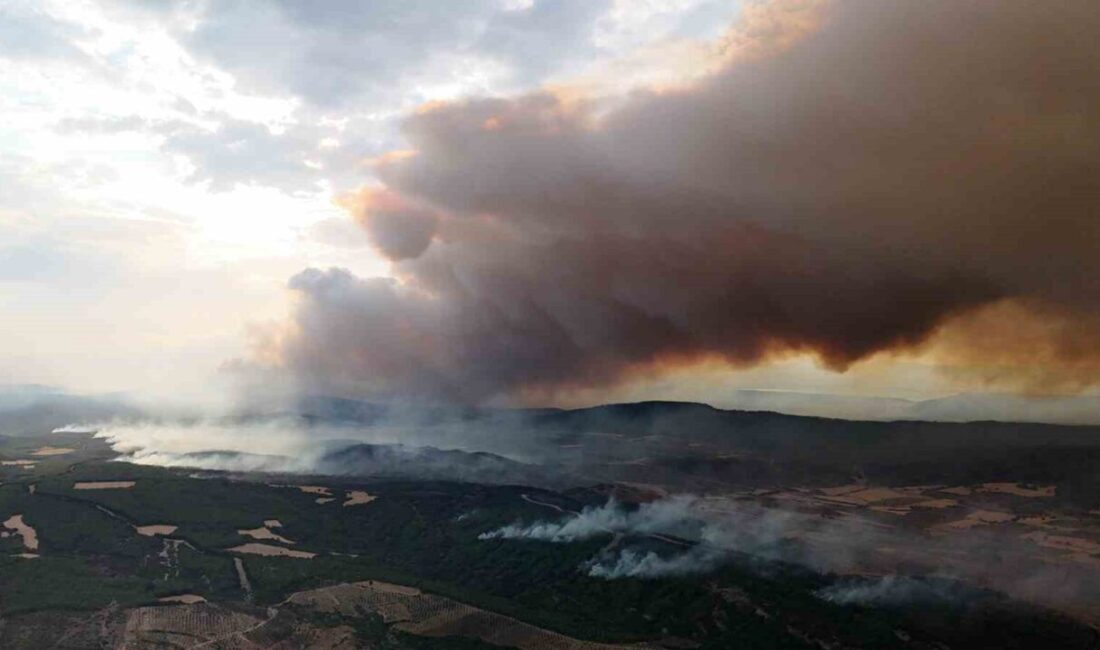 Çanakkale'nin Gelibolu ilçesinde çıkan orman yangınına Orman Bölge Müdürlüğü ekipleri