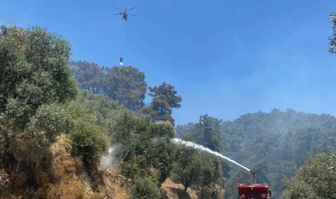 Aydın'ın Germencik ilçesinde, Dağyeni Mahallesi yakınlarında çıkan yangına Muğla Orman