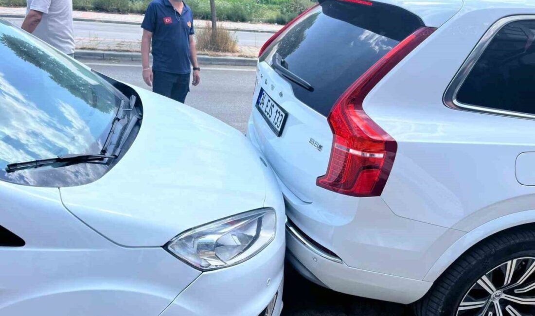 Van'ın Gevaş ilçesinde dört aracın karıştığı zincirleme kazada bir kişi