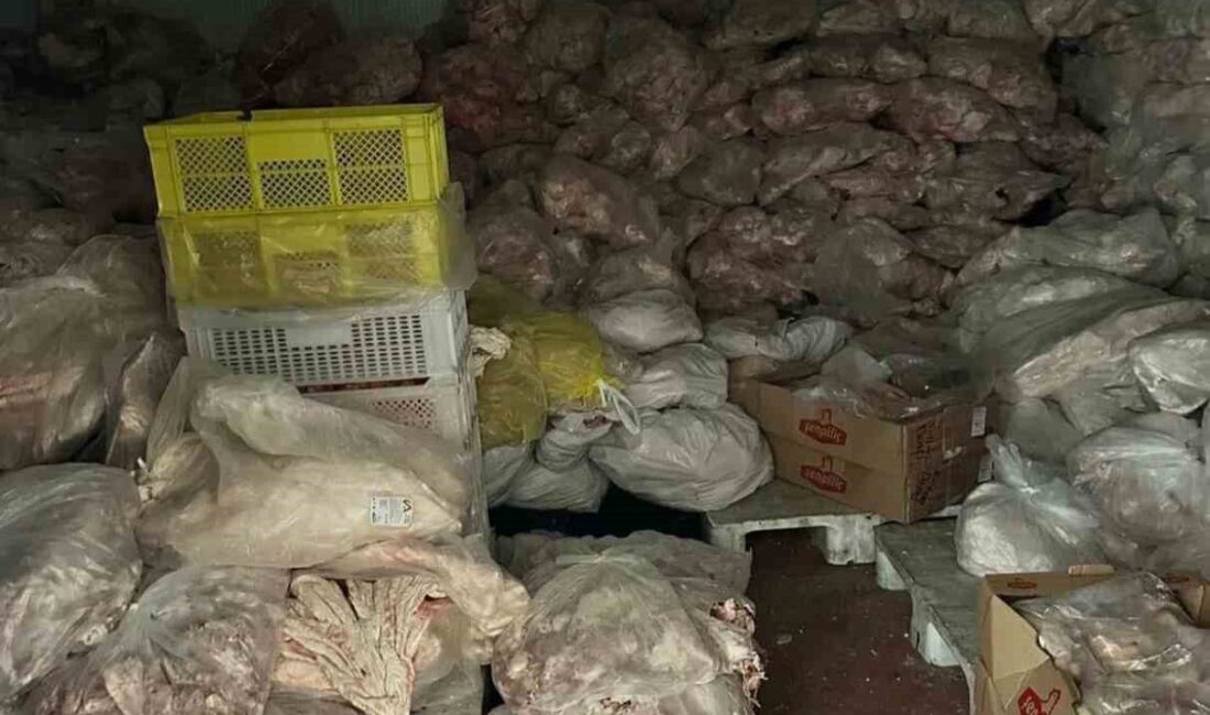 Ergene Kaymakamlığı ve Tarım ve Orman Bakanlığı ekipleri, Marmaracık Mahallesi'ndeki