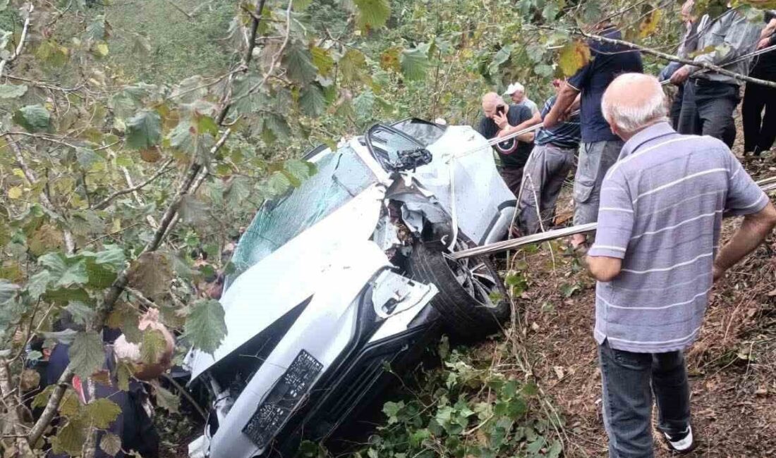 Giresun'un Görele ilçesinde gerçekleşen trafik kazasında Cemile Yiğit hayatını kaybederken,
