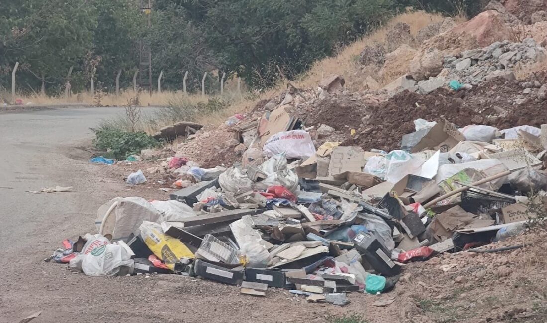 Adıyaman'ın Gölbaşı ilçesinde, yol kenarına bırakılan evsel atıklar çevre kirliliğine