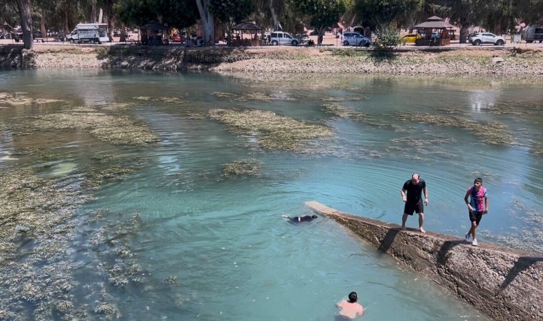 Mersin'in Tarsus ilçesinde baraj gölünde 8 yaşındaki Serdar Şirin boğulurken,