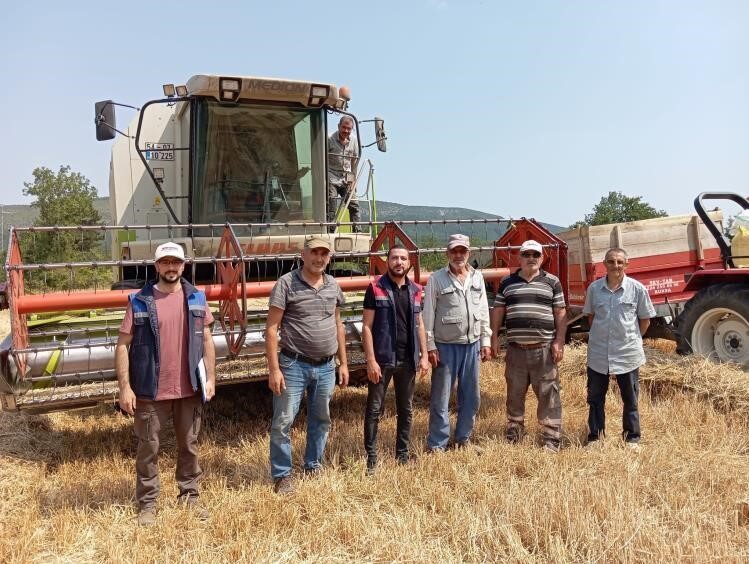 Bilecik’in Gölpazarı ilçesinde hububat hasadı sürerken, İlçe Tarım ve Orman