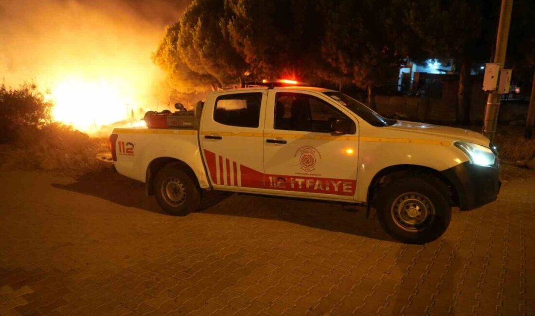 Balıkesir’in Gömeç ilçesinde Karaağaç Mahallesi'nde gece meydana gelen yangın, rüzgarın