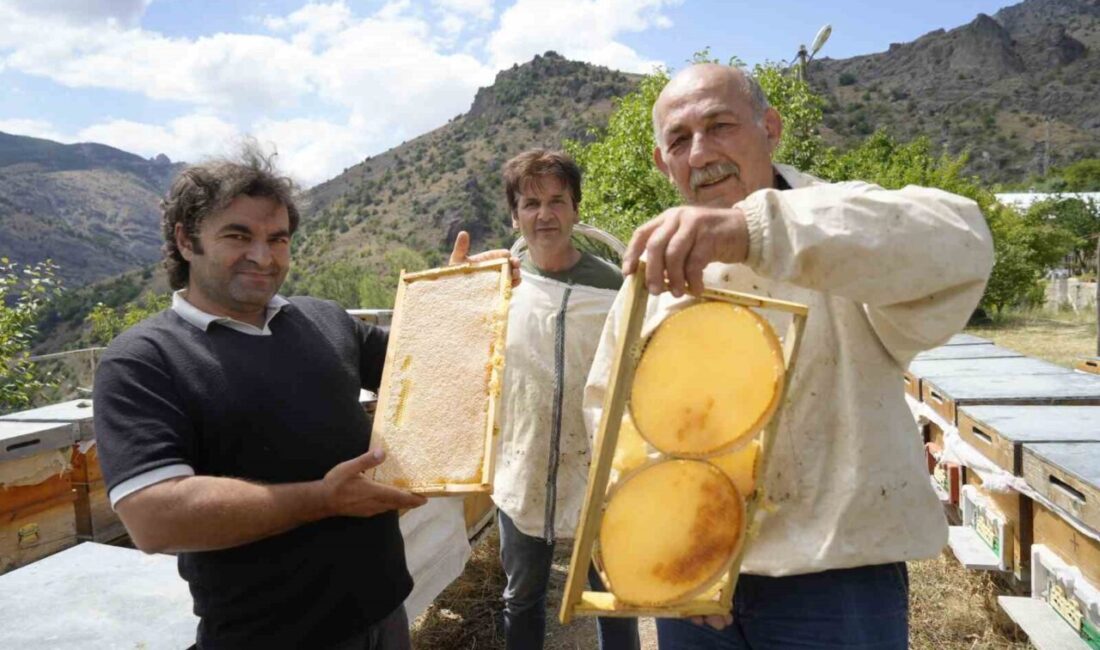 Gümüşhane'de 2025 bal hasadı, kovan başına 20 kilonun üzerinde rekolteyle