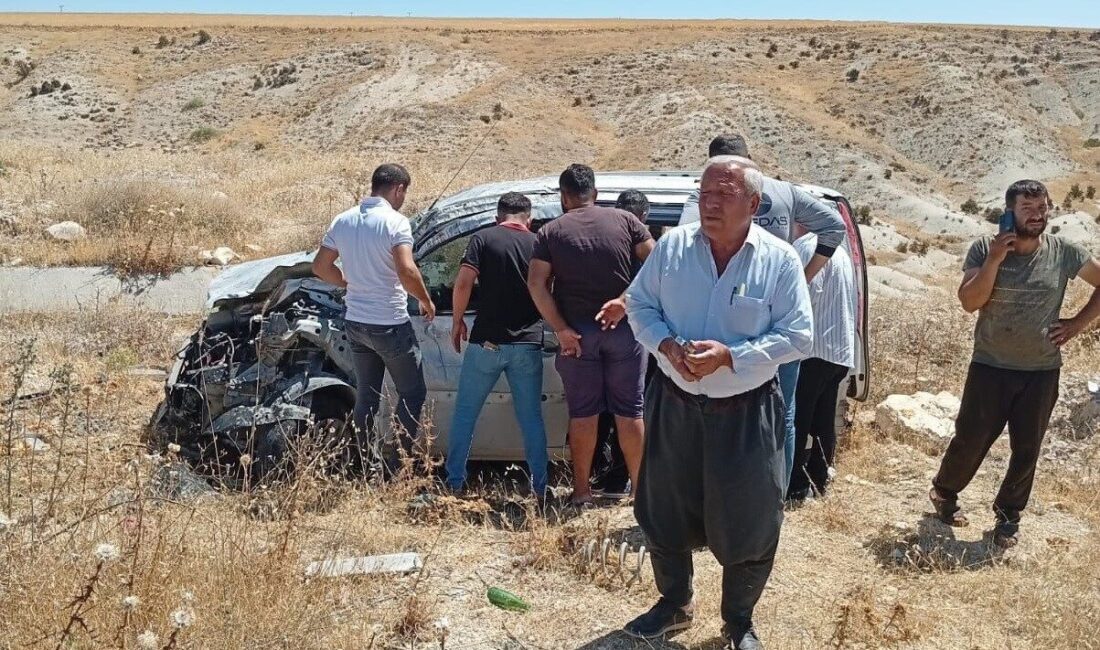 Adıyaman-Şanlıurfa Karayolu'nda Gani K. yönetimindeki hafif ticari araç, sürücünün direksiyon