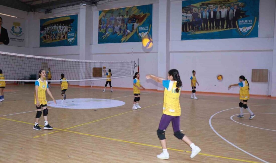 Haliliye Belediyesi, Mehmet Canpolat liderliğinde gençler için voleybol kursları düzenleyerek