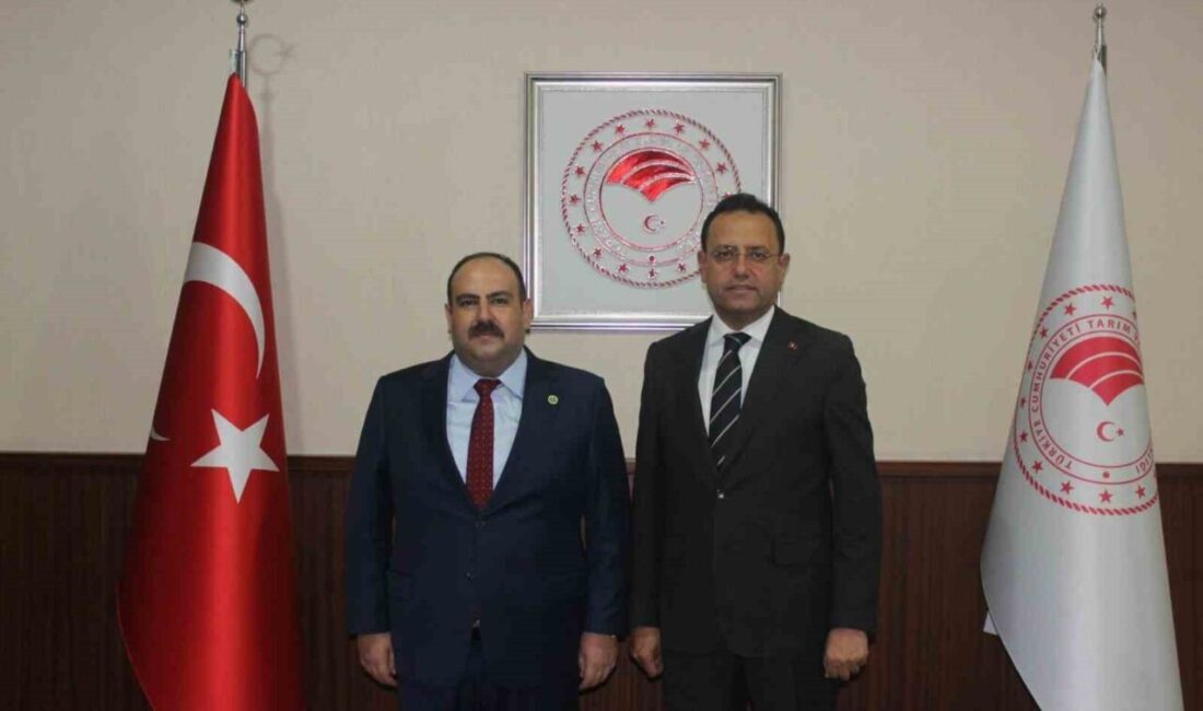 İnönü Belediye Başkanı Serhat Hamamcı, Ankara'da yaptığı görüşmelerde, Çevre Bakan