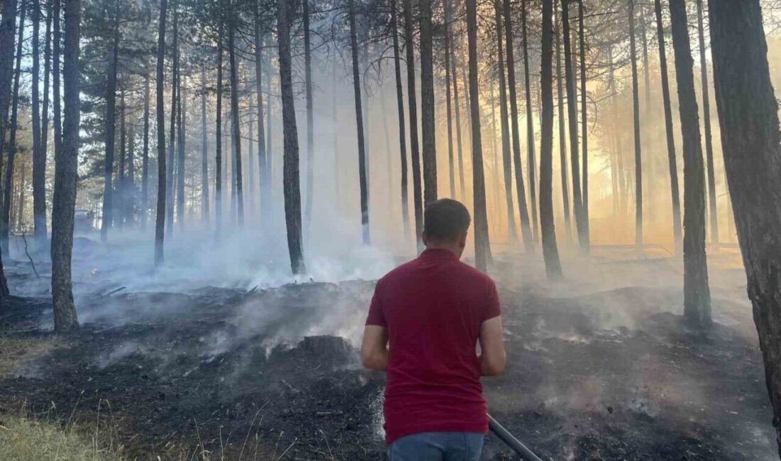 Kastamonu'nun Hanönü ilçesindeki ormanlık alanda çıkan yangın, Hanönü Orman İşletme