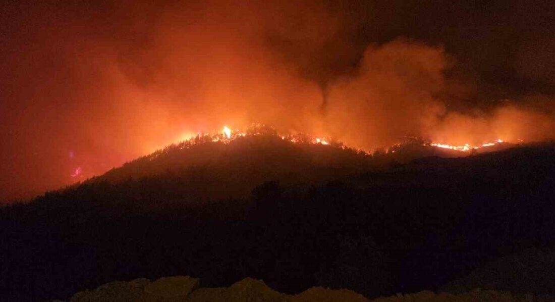 Hatay'ın Hassa ilçesinde çıkan orman yangınına 173 araç ve 470