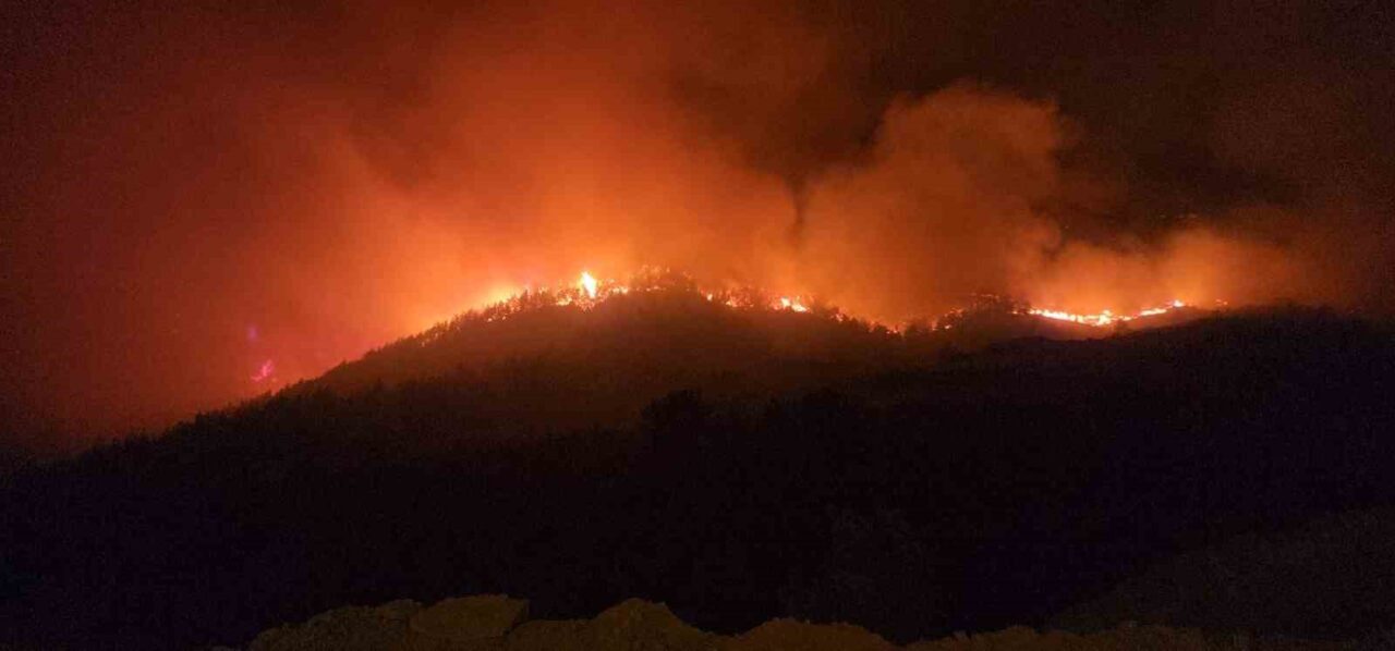 Hatay'ın Hassa ilçesinde çıkan orman yangınına 173 araç ve 470
