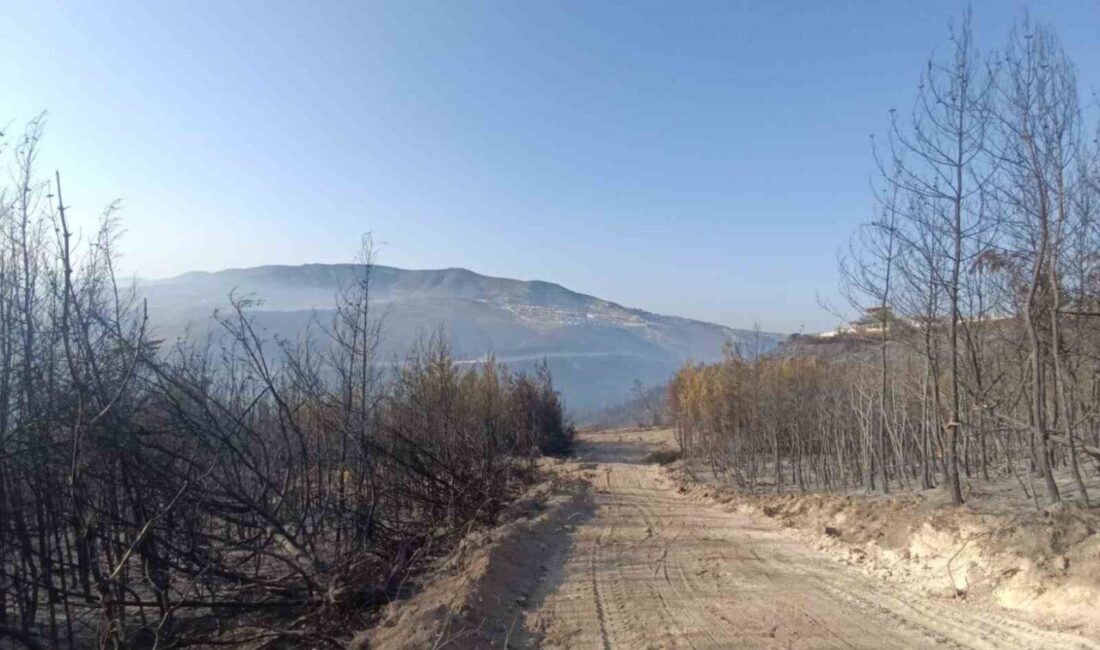 Hatay'ın Yayladağı ilçesinde çıkan orman yangını, ekiplerin 16 saatlik çabasıyla