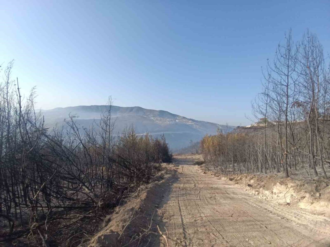 Hatay'ın Yayladağı ilçesinde çıkan orman yangını, ekiplerin 16 saatlik çabasıyla