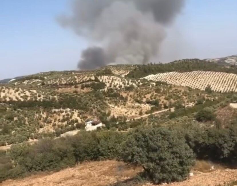 Hatay'ın Yayladağı ilçesinde Hisarcık Mahallesi'nde meydana gelen orman yangınına, vatandaşların