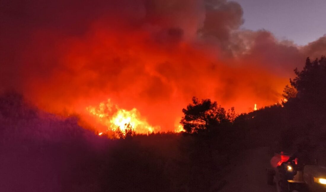 Hatay'ın Hassa ilçesindeki Yukarıbucak Mahallesi'nde ormanlık alanda yangın başladı. Kısa