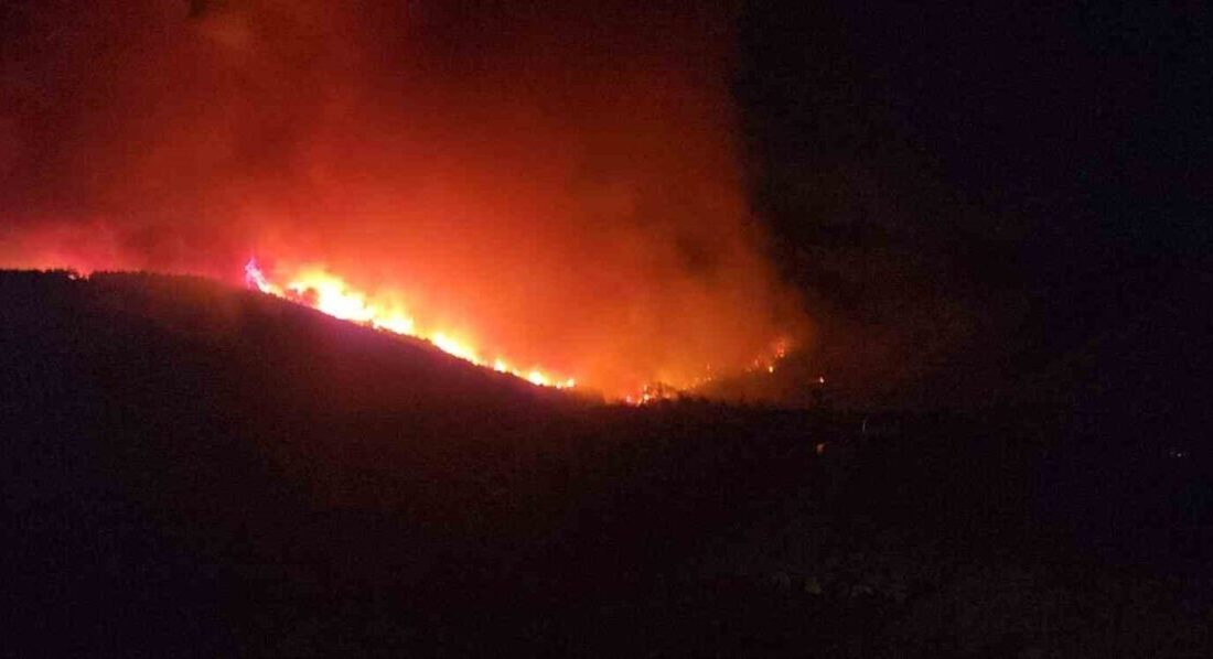 Hatay'ın Hassa ilçesinde çıkan orman yangını, rüzgarın etkisiyle hızla yayıldı.
