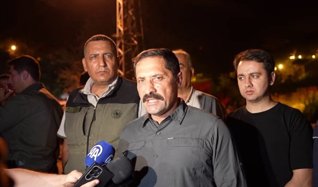 Hatay Valisi Mustafa Masatlı, Hassa ilçesindeki orman yangınına 173 araç