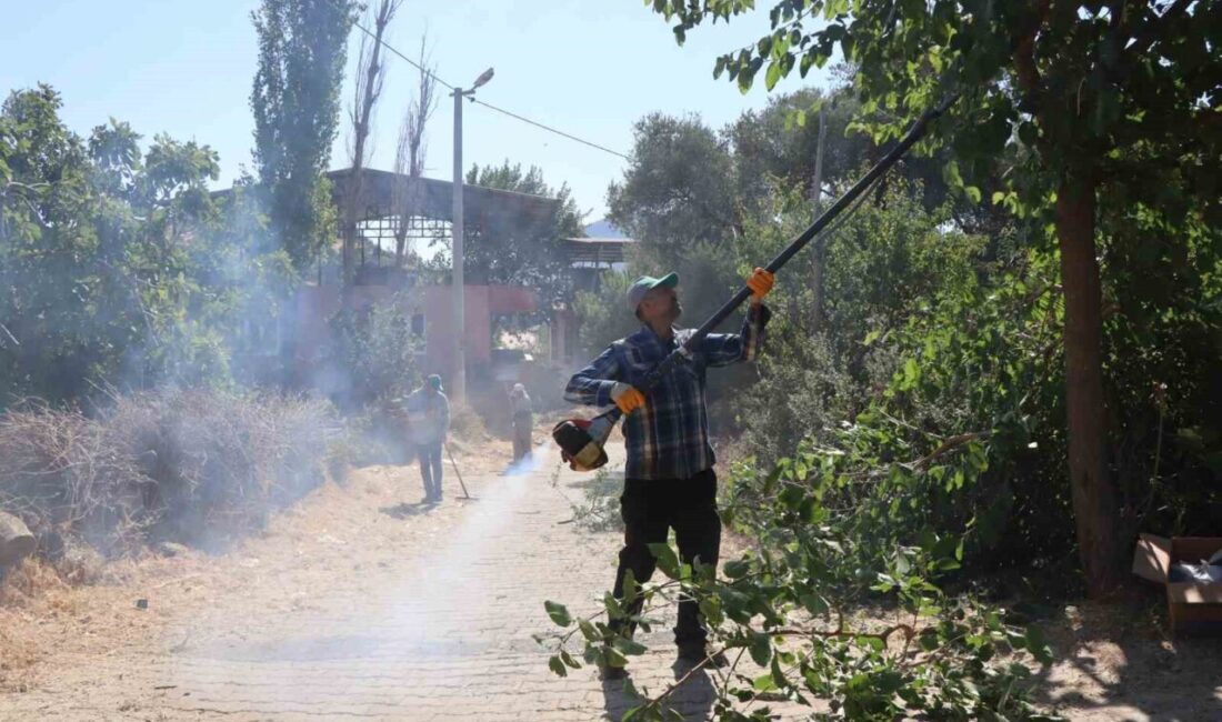 Nazilli Belediyesi Park ve Bahçeler Müdürlüğü, Hisarcık'ta kırsal alanlarda ot