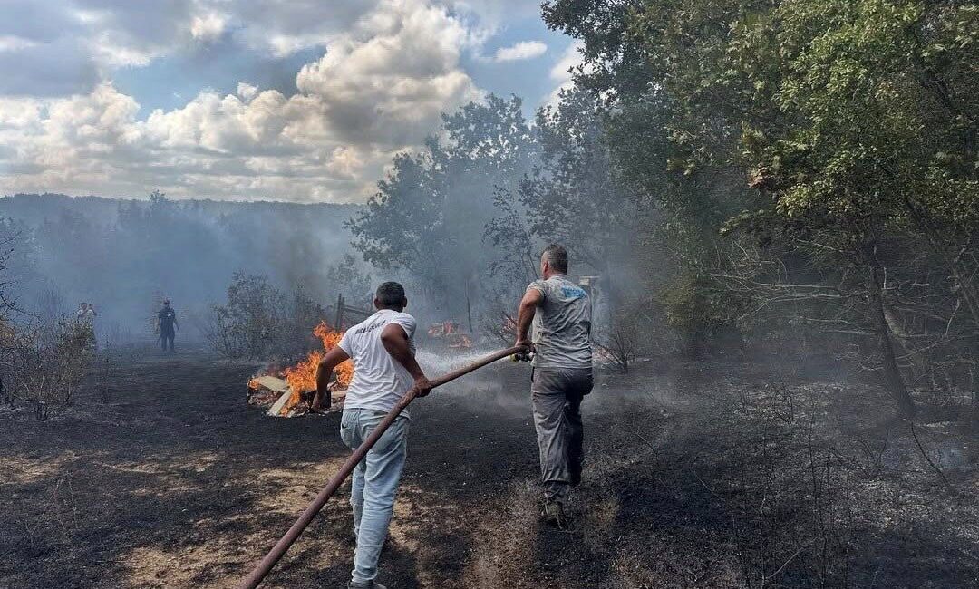 Kırklareli'nin İğneada beldesindeki ormanlık alanda çıkan yangın, Liman tepesi mevkiinde