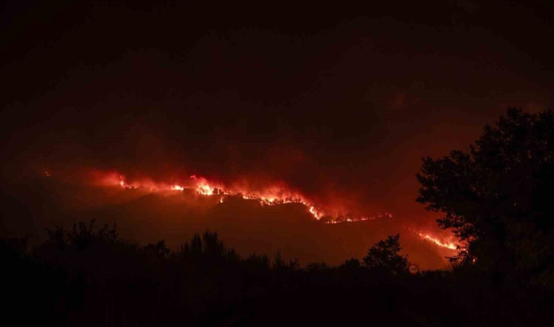 İspanya'nın Castilla ve Leon bölgesinde çıkan orman yangınında 35 yaşındaki