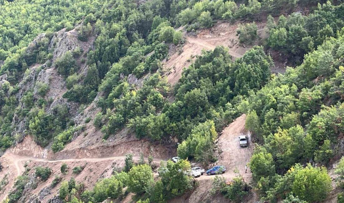 Erzurum'un İspir ilçesi Karakale Mahallesi'nde çıkan bitki örtüsü yangını hızla
