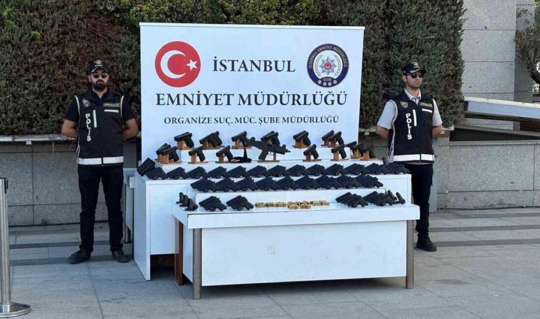 İstanbul Emniyet Müdürlüğü, 15 Temmuz-13 Ağustos tarihleri arasında düzenlediği operasyonlarda