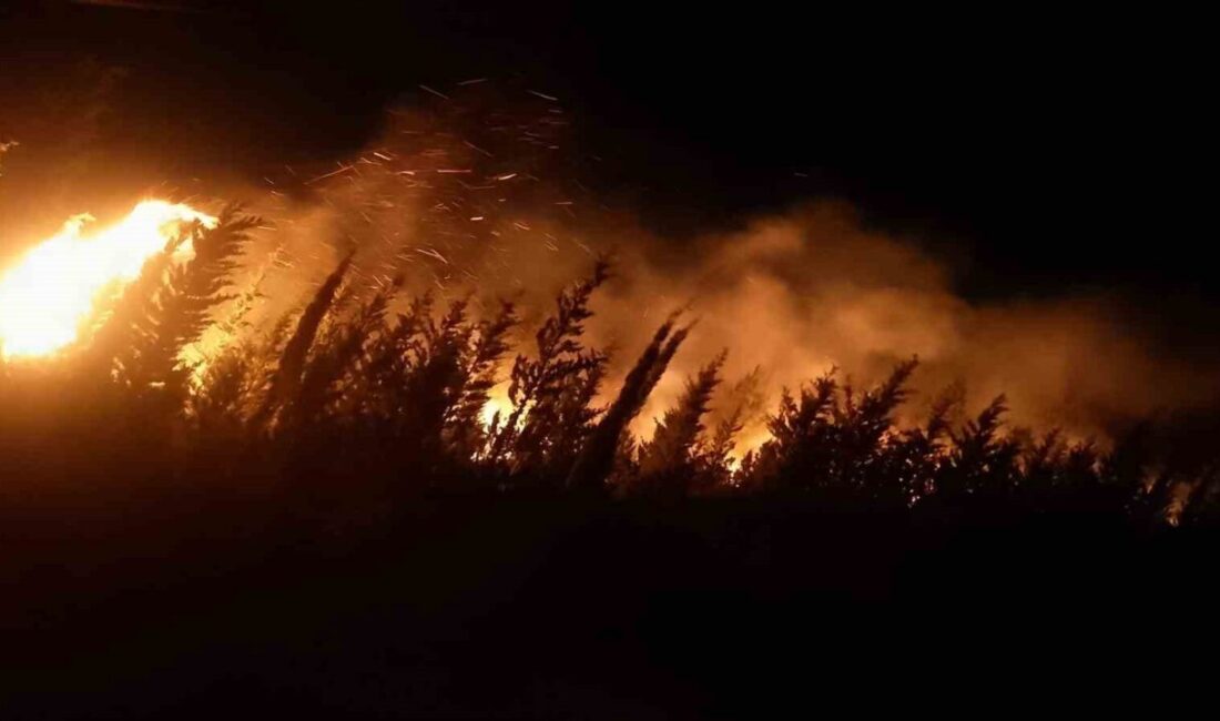 İzmir'in Urla ilçesinde Kadıovacık Mahallesi'nde meydana gelen orman yangınına karadan