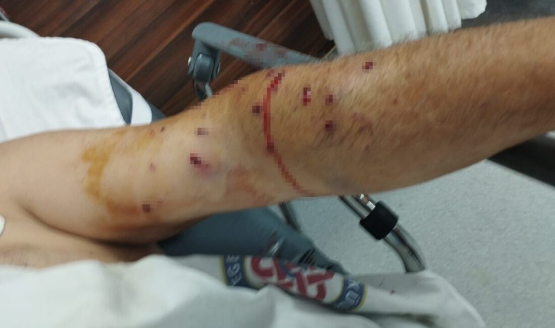 İzmir'in Bornova ilçesinde Aşkın K., kantar ücreti yüzünden tartıştığı Mehmet