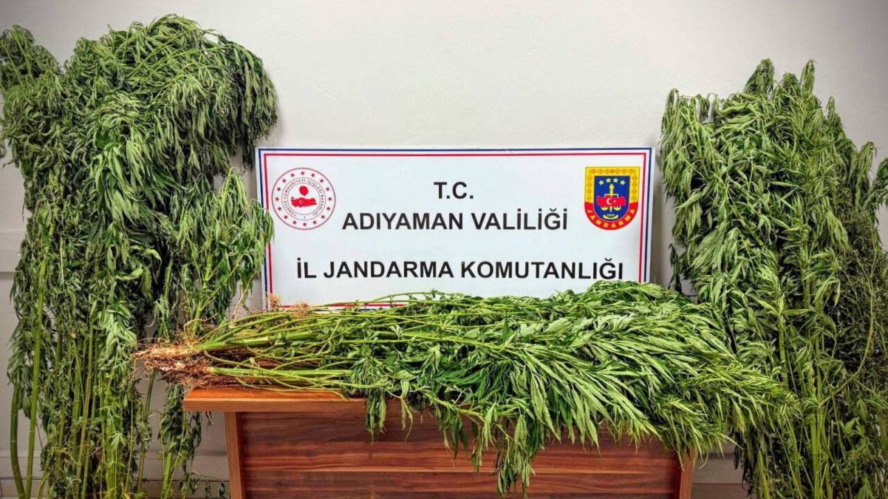 Adıyaman'da jandarma, uyuşturucu ticaretine yönelik yaptığı operasyonda 9 şüpheliyi gözaltına