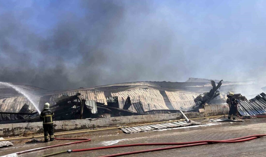 Kahramanmaraş'taki kağıt fabrikasında çıkan yangın, Türkoğlu ilçesinde işletme bölümünde patlak