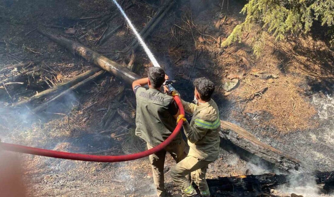 Kahramanmaraş'ın Göksun ilçesinde Kavşut Mahallesi'nde başlayan orman yangınına müdahale sürüyor.