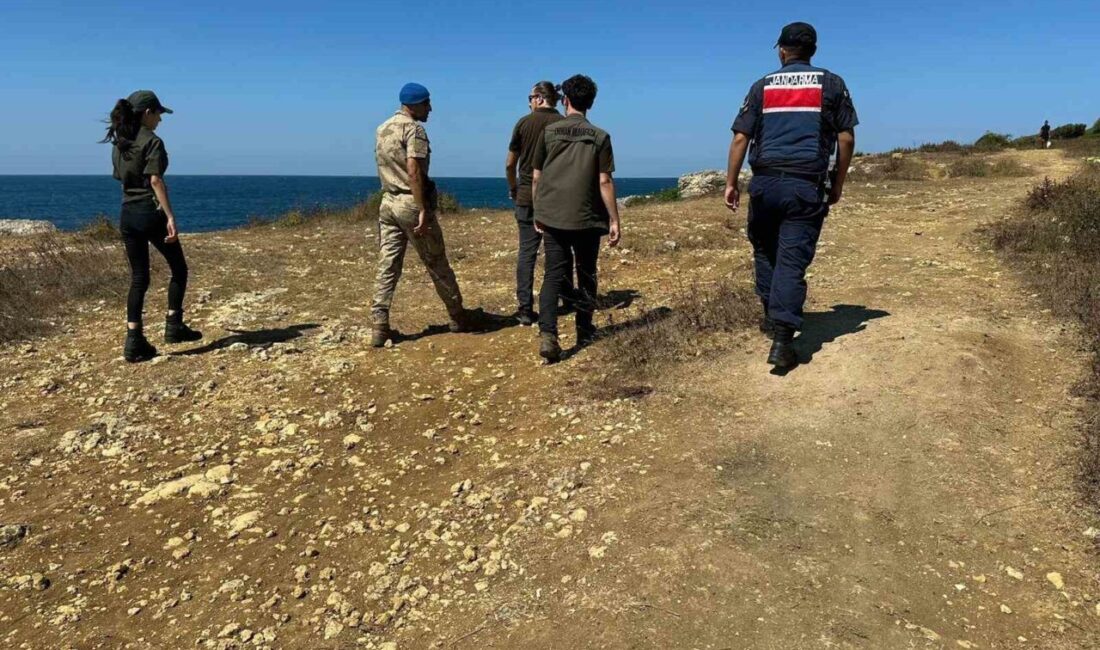 Kocaeli'nin Kandıra ilçesinde izinsiz çadır kuranlara yönelik denetimler artırıldı. Jandarma