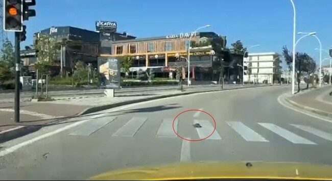 Bursa'nın Nilüfer ilçesinde bir taksi şoförü, kırmızı ışıkta dururken yaya