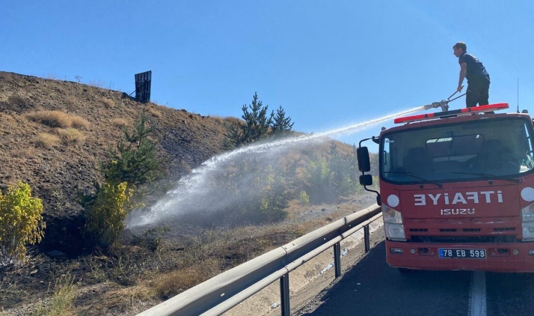 Karabük'ün Eskipazar ilçesinde, Kemikli rampaları bölgesinde yol kenarındaki otlarda çıkan