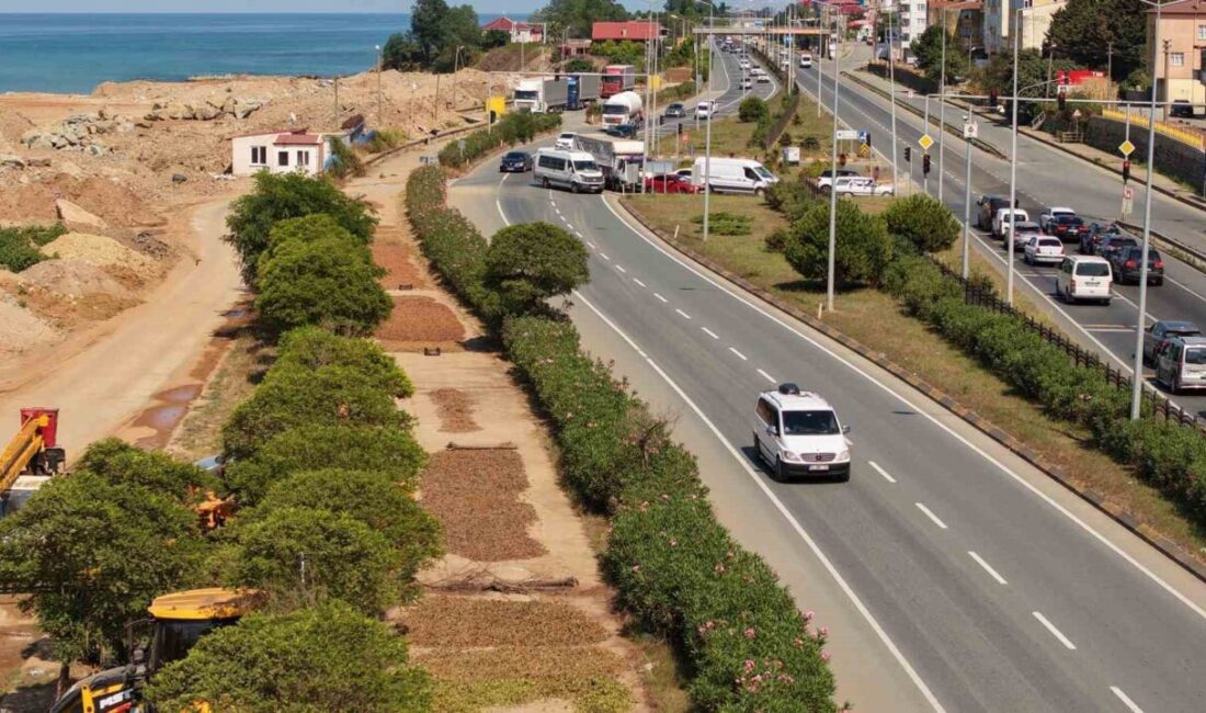 Trabzon'da fındık hasadı devam ederken, üreticiler topladıkları fındıkları Karadeniz Sahil