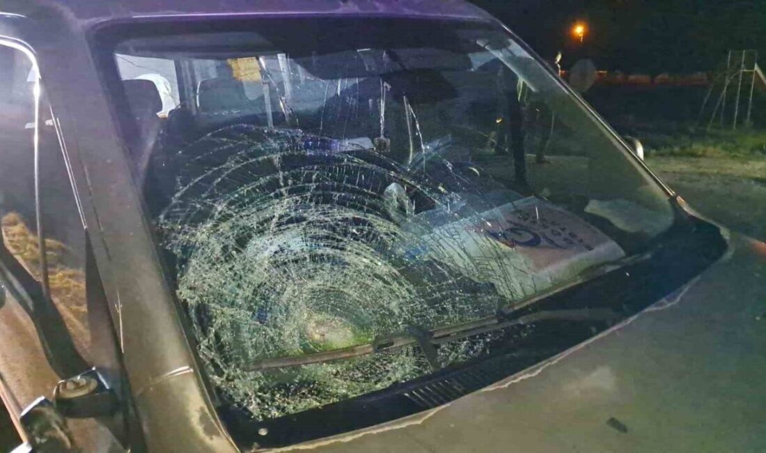 Karaman'da hafif ticari aracın çarptığı 66 yaşındaki Havva Çapan hayatını